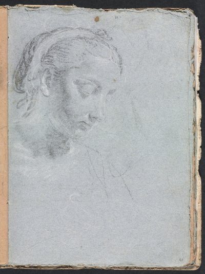 Verona Schetsboek: Hoofd en schouders van een vrouw (pagina 61) door Francesco Lorenzi