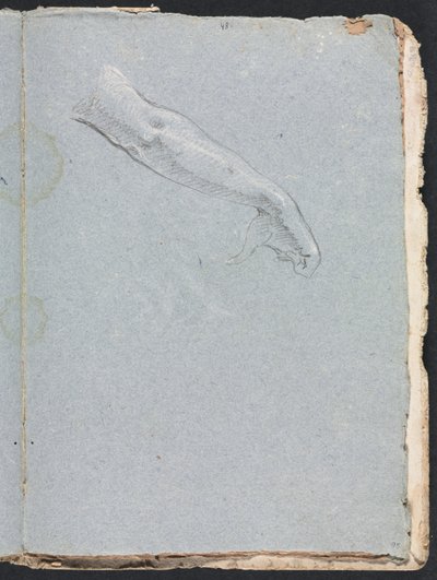 Verona Schetsboek: Rechterarm en hand (pagina 95) door Francesco Lorenzi