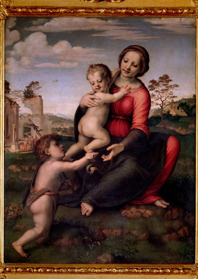Maagd met kind en Johannes de Doper (schilderij) door Francesco di Cristofano Franciabigio