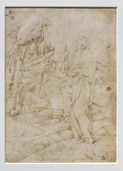 Jonge man in een rotsachtig landschap, c.1475-80 door Francesco di Giorgio Martini