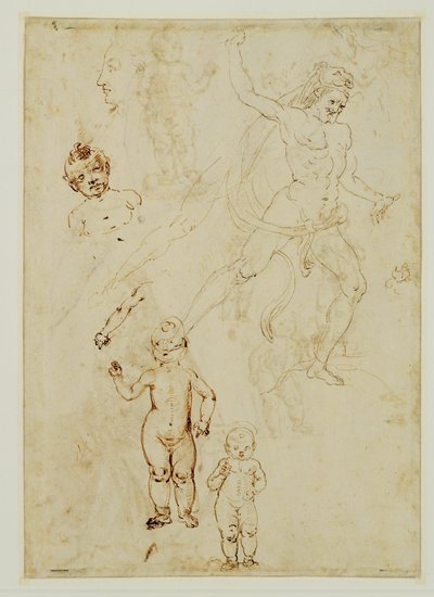 Hercules;drie kinderen;mannelijk hoofd naar links gedraaid ... door Francesco di Simone (attr. to)