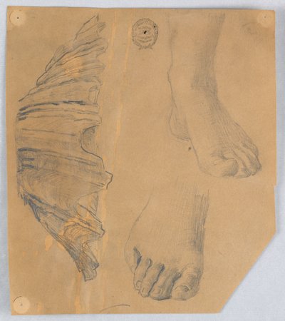 Studies van voeten en een gegroefde schelp door Francis Augustus Lathrop