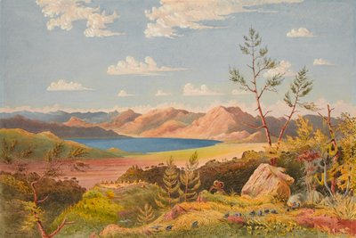 Lake Ashangi door Francis Cornelius James