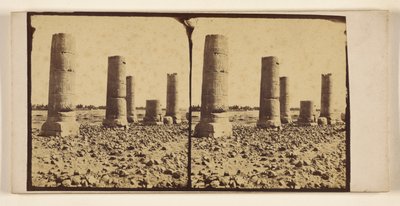 Kale zuilen in de woestijn, mogelijk bij Thebe door Francis Frith