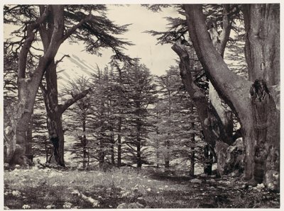  door Francis Frith