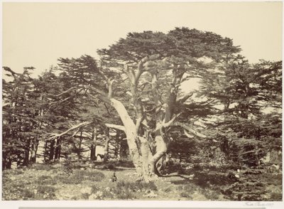  door Francis Frith