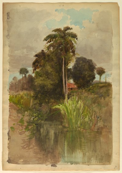 Studie van palmbomen door Francis Hopkinson Smith
