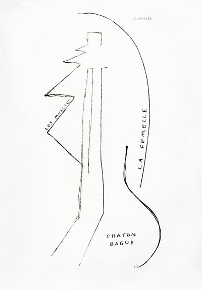 Poemes et Dessins de la Fille nee sans Mere, nr.23, uitgegeven door Imprimeries Reunies, Lausanne door Francis Picabia