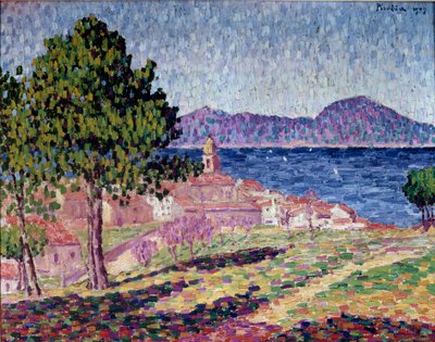 Uitzicht op Saint Tropez, de Citadel door Francis Picabia