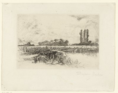 Uiterwaard door Francis Seymour Haden (Sir) (signed by artist)