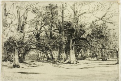 Een zijweg in Tipperary door Francis Seymour Haden