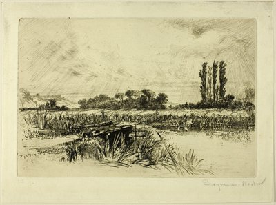 Een waterweide door Francis Seymour Haden