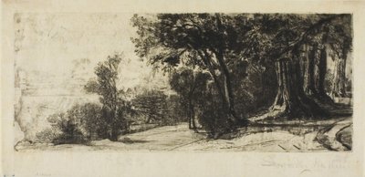 Vroege Ochtend, Richmond Park door Francis Seymour Haden