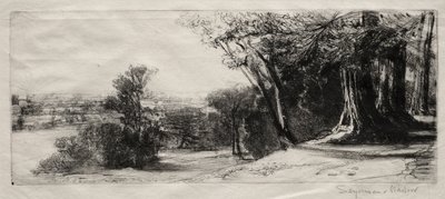 Vroege ochtend, Richmond Park door Francis Seymour Haden
