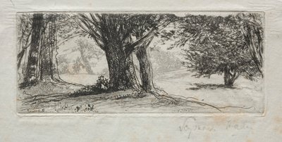 Hulstveld door Francis Seymour Haden