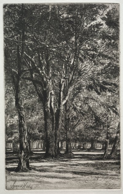 Kensington Gardens (De Grote Plaat) door Francis Seymour Haden