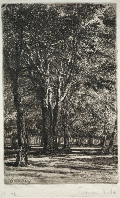 Kensington Tuinen (De Grotere Plaat) door Francis Seymour Haden
