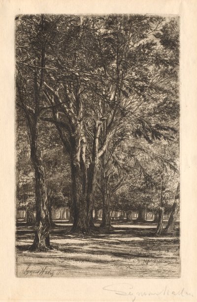 Kensington Tuinen, Nr. 2 (Grote Plaat) door Francis Seymour Haden