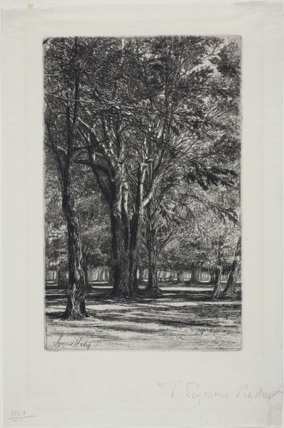 Kensington Gardens, No. II (grote plaat) door Francis Seymour Haden