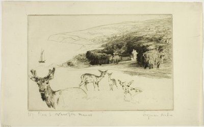 Newton Manor door Francis Seymour Haden