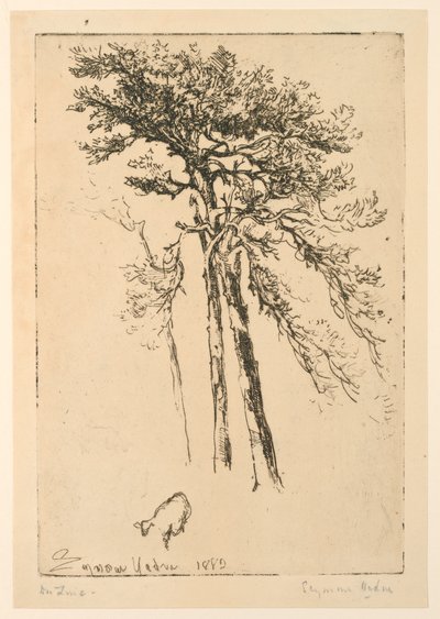 Schotse dennen door Francis Seymour Haden