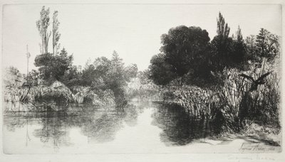 Shere Mill Pond, No. 11 (De Grote Plaat) door Francis Seymour Haden