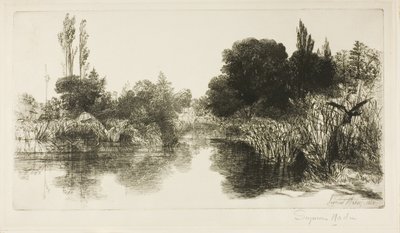 Shere Mill Pond, No. II (grote plaat) door Francis Seymour Haden