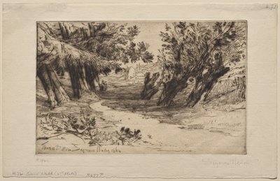 De wandeling van de geliefden (De tweede plaat) door Francis Seymour Haden