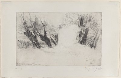 De Wandeling van de Geliefden, Nr. I door Francis Seymour Haden