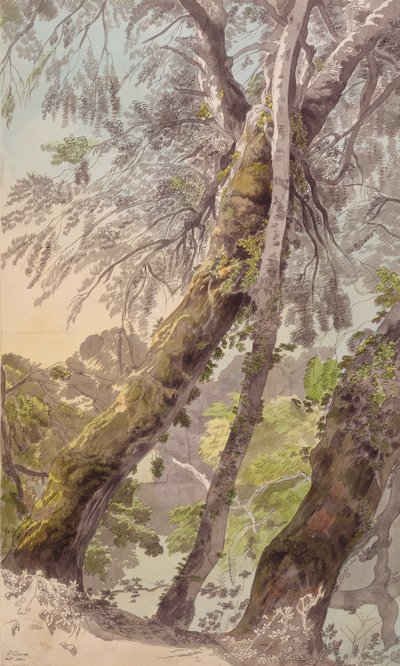 Bomen Overhangend Water door Francis Towne