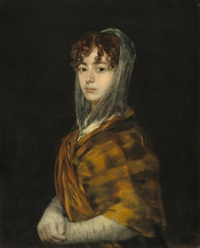 Señora Sabasa Garcia door Francisco de Goya