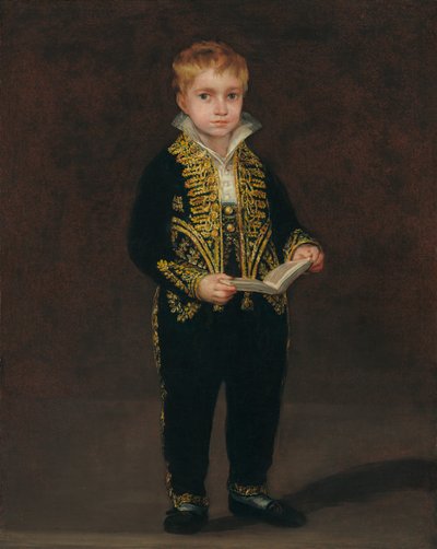 Victor Guye door Francisco Jose de (school of) Goya