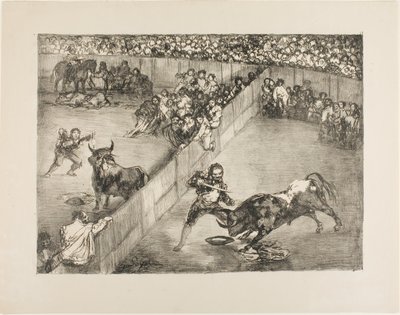 Stierengevecht in een gedeeld ring, uit 