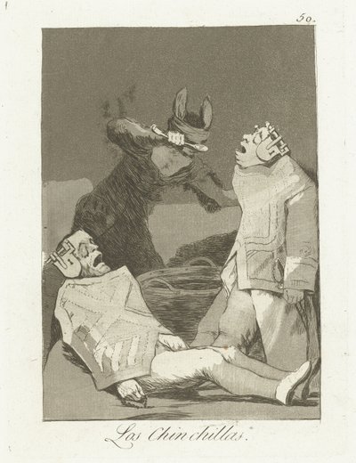 De Chinchillas door Francisco de Goya