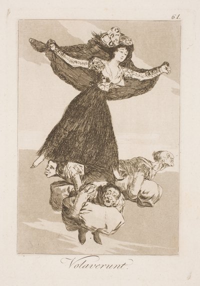 Ze zijn weggevlogen door Francisco de Goya