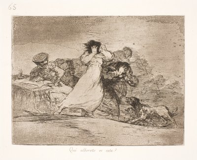 Wat betekent deze verwarring? (65) door Francisco de Goya