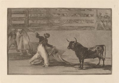 Oorsprong van de Harpoenen of Banderillas door Francisco de Goya