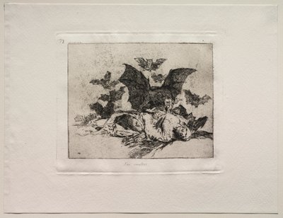 De verschrikkingen van de oorlog: De gevolgen door Francisco de Goya