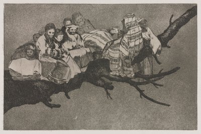 De Spreekwoorden: Belachelijke dwaasheid door Francisco de Goya