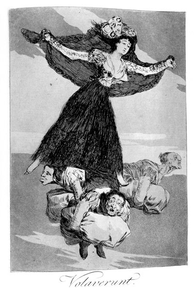 Ze zijn gevlogen door Francisco de Goya