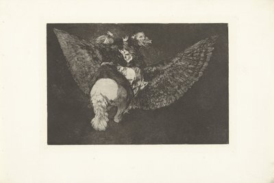 Vliegende dwaasheid door Francisco de Goya