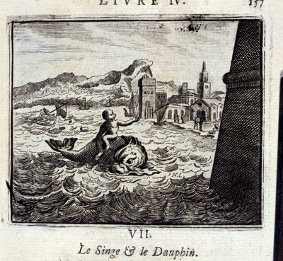 De Aap en de Dolfijn door Francois Chauveau