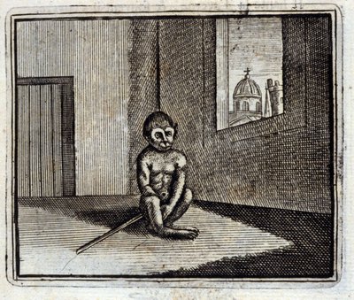 De Aap door Francois Chauveau