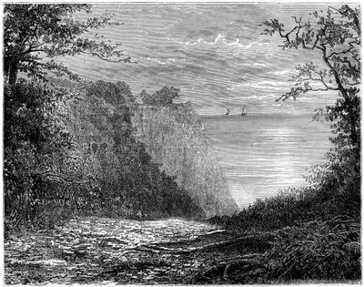 De krijtrotsen bij de Königsstuhl, Rügen, Duitsland, 19e eeuw door Francois Stroobant