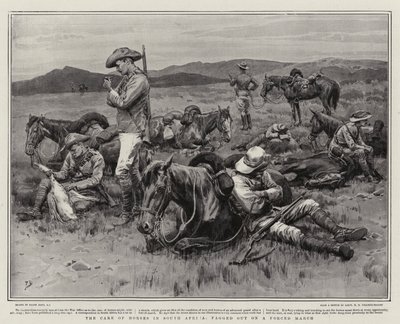 De verzorging van paarden in Zuid-Afrika, uitgeput na een gedwongen mars door Frank Dadd