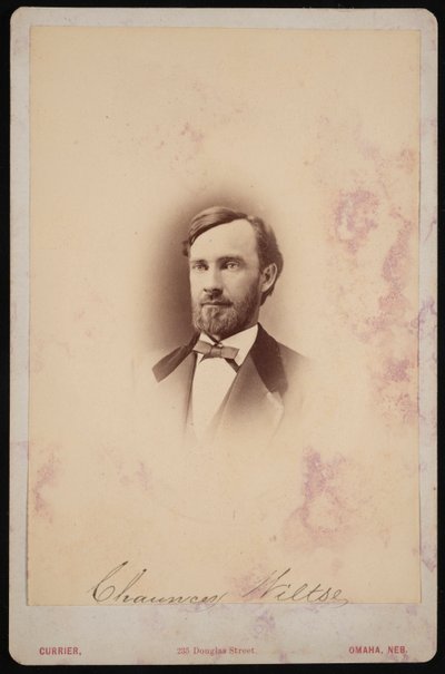 Portret van Chauncey Wiltse 1834-1894, 1875-1876 door Frank F Currier