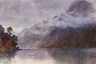 Nieuw-Zeeland: In Milford Sound door Frank H Wright