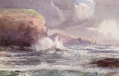 Nieuw-Zeeland: Te-Wenga door Frank H Wright