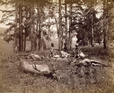 Elk Jagers, Yellowstone, c.1880 door Frank Jay Haynes