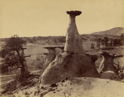 Het "Ute Medicine" Monument, Monument Park door Frank Jay Haynes